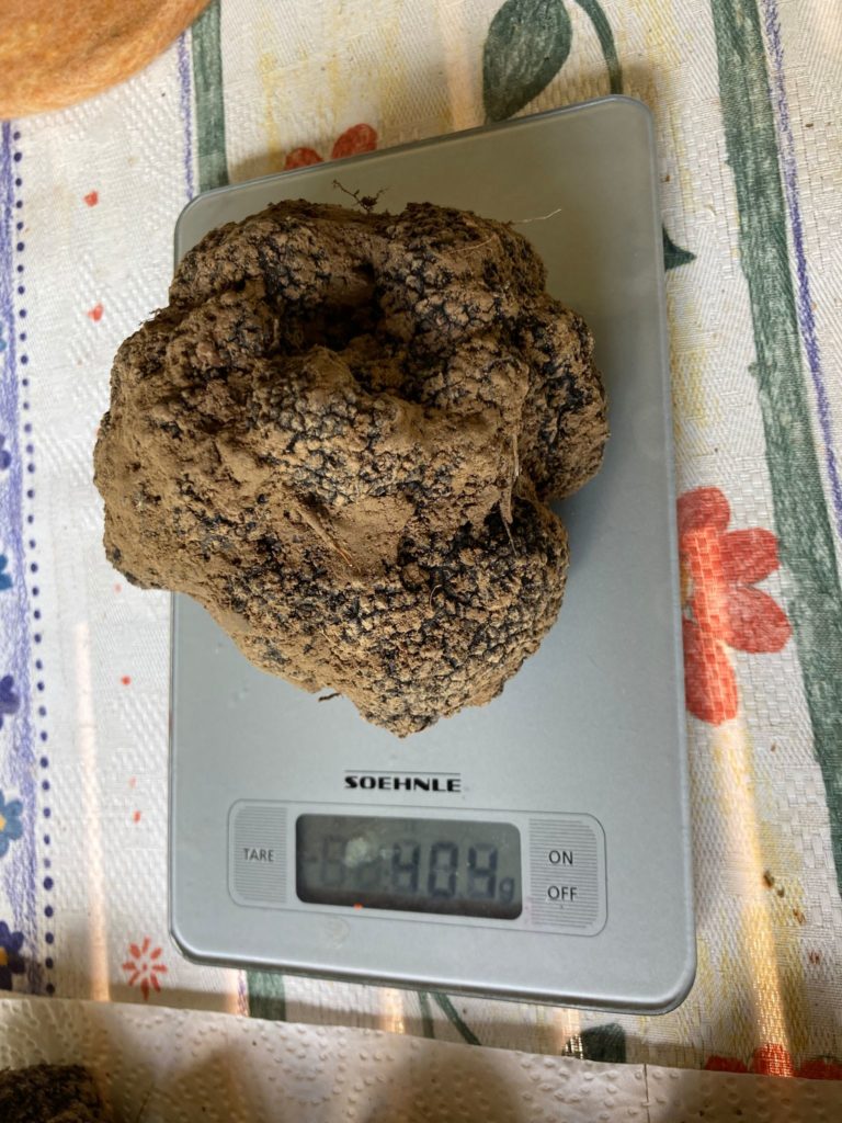 400 g Trüffel